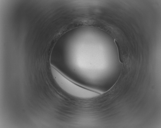 X0000073480752200607310851