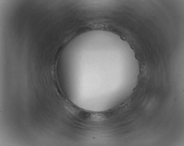 X0000073480753200607310851