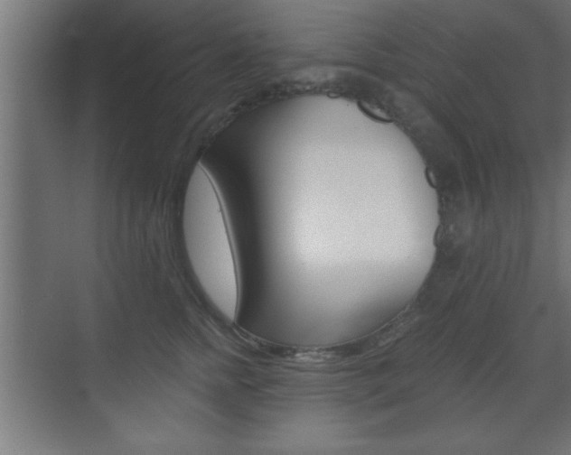 X0000073480758200607310851