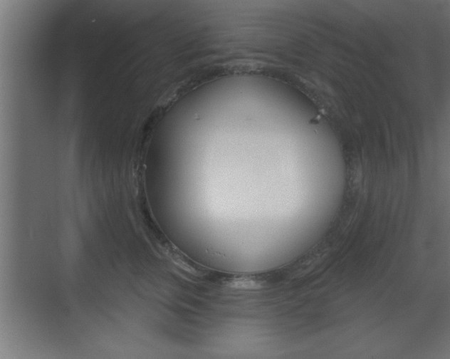 X0000073480759200607310851
