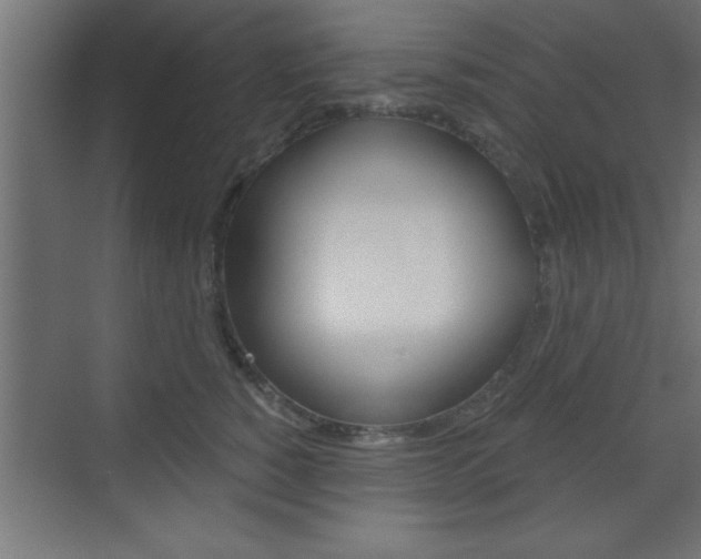 X0000073480760200607310851