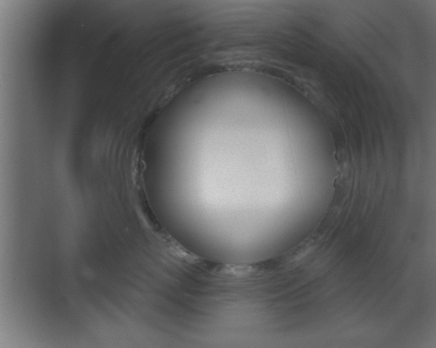 X0000073480767200607310851