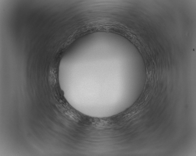 X0000073480772200607310850