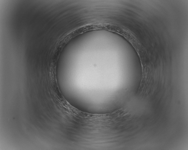 X0000073480773200607310850