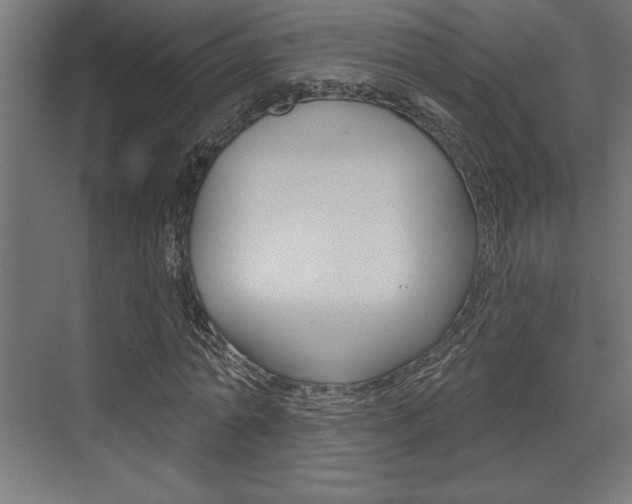X0000073480774200607310850