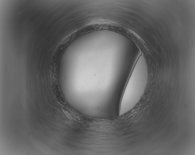 X0000073480775200607310850