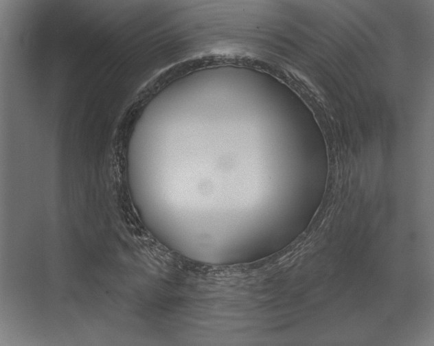 X0000073480776200607310850