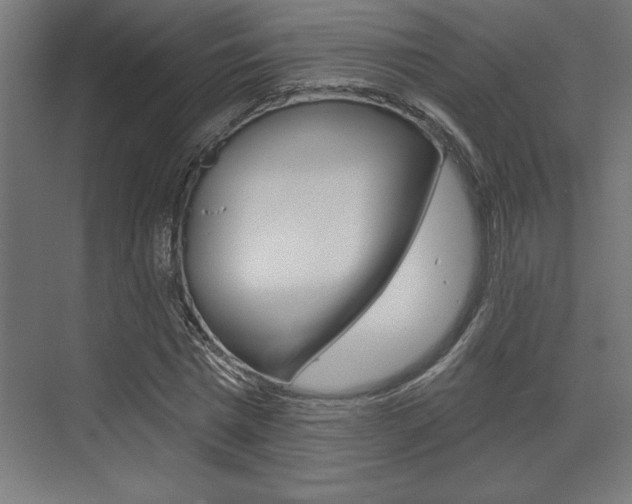 X0000073480777200607310850