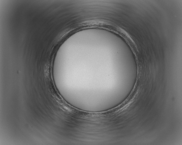 X0000073480778200607310850