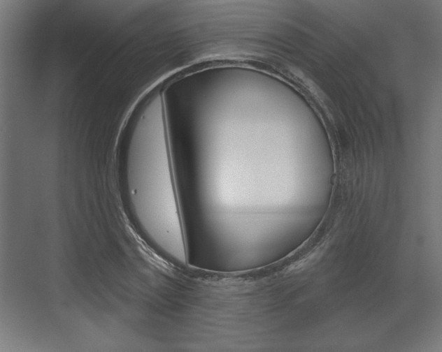 X0000073480779200607310850