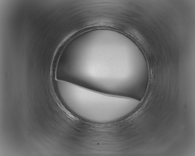 X0000073480780200607310850