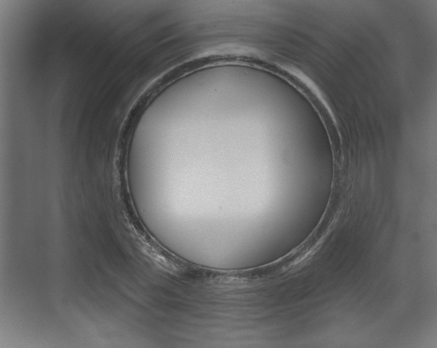 X0000073480783200607310850