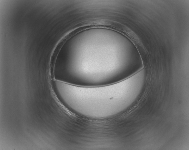 X0000073480784200607310850