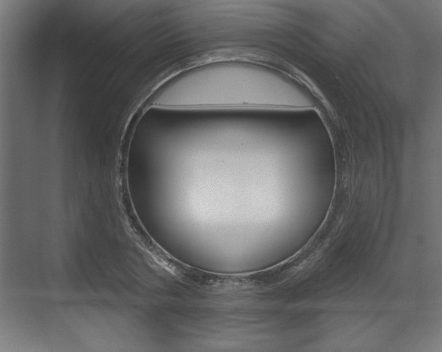 X0000073480786200607310850