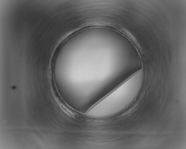 X0000073480787200607310850