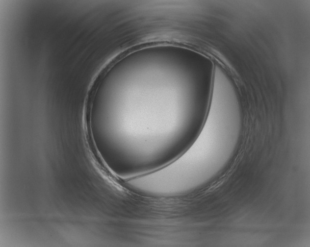 X0000073480788200607310850