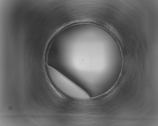 X0000073480789200607310850