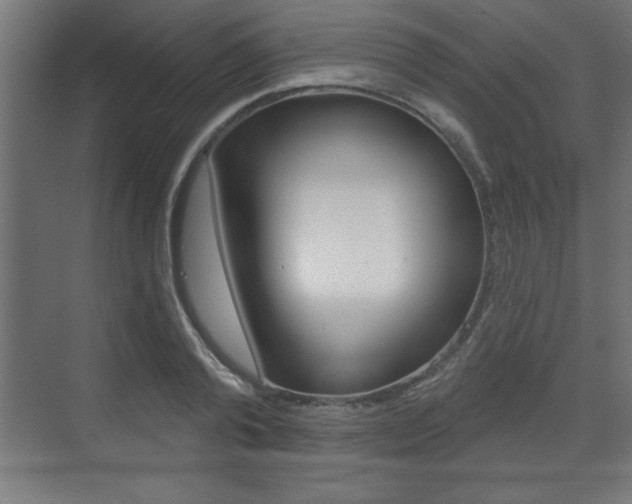 X0000073480792200607310850