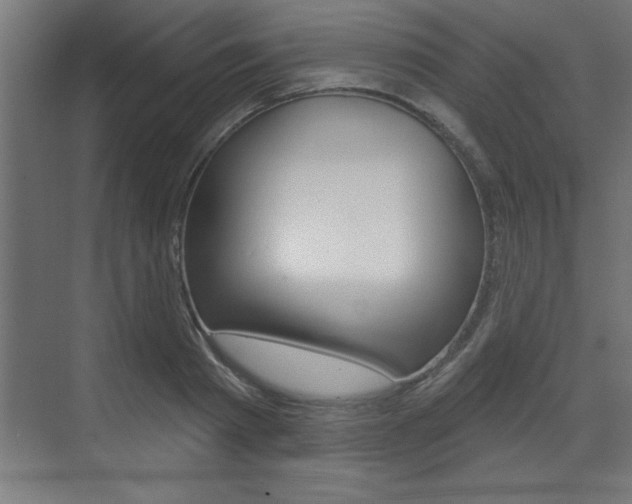 X0000073480793200607310850