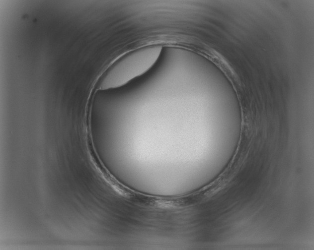 X0000073480794200607310850