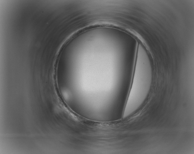 X0000073480799200607310849