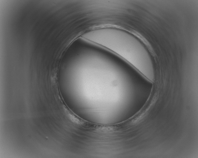 X0000073480801200607310849