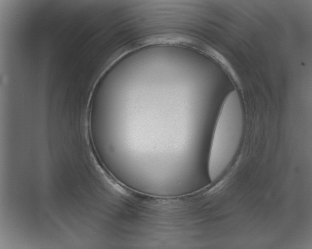X0000073480802200607310849