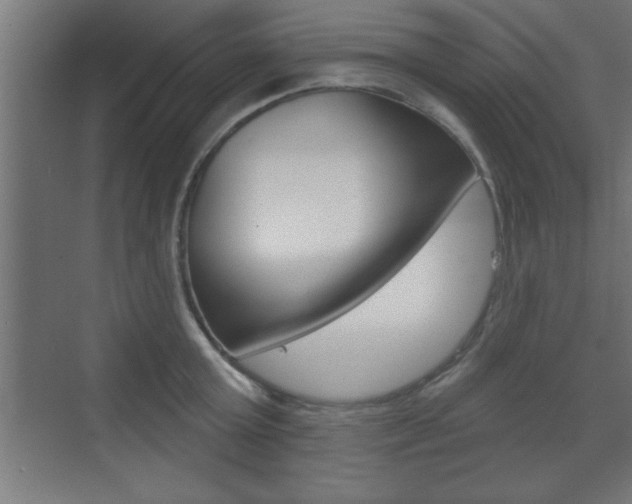 X0000073480803200607310849