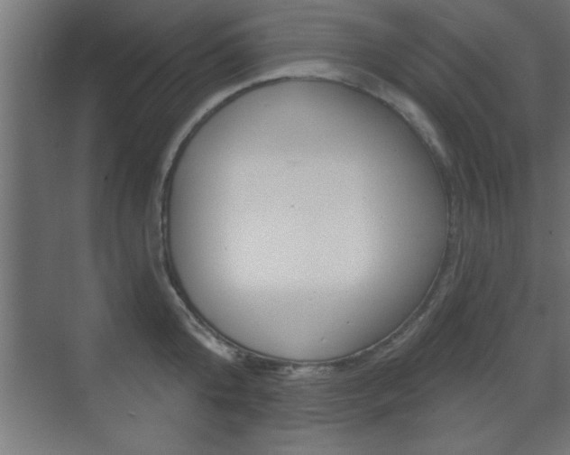 X0000073480808200607310849