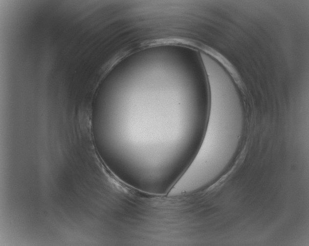 X0000073480809200607310849