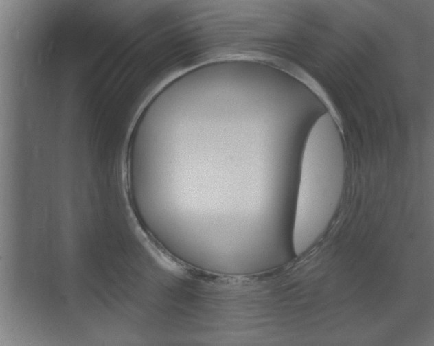 X0000073480811200607310849
