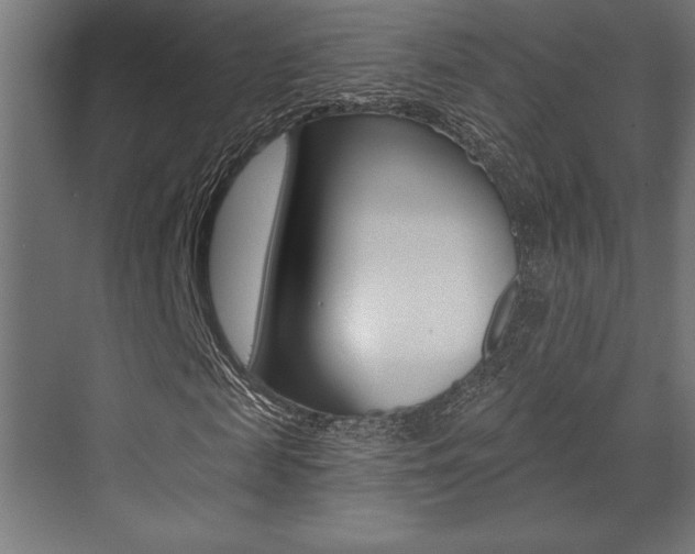 X0000073480817200607310848