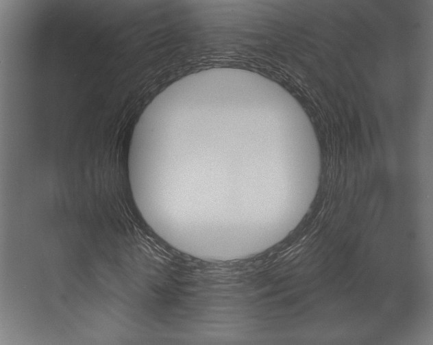 X0000073480818200607310848