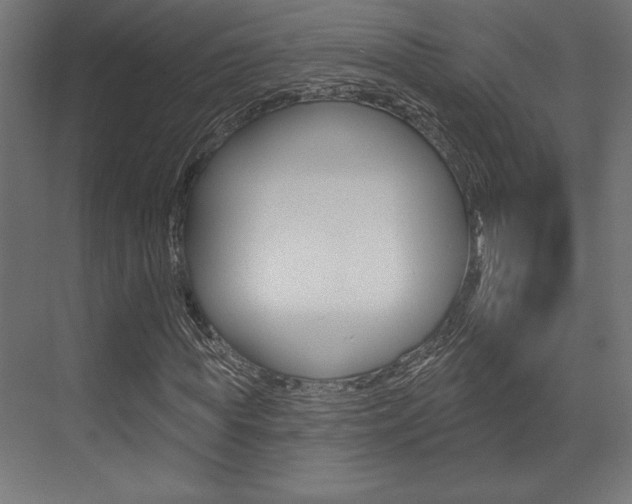 X0000073480819200607310848