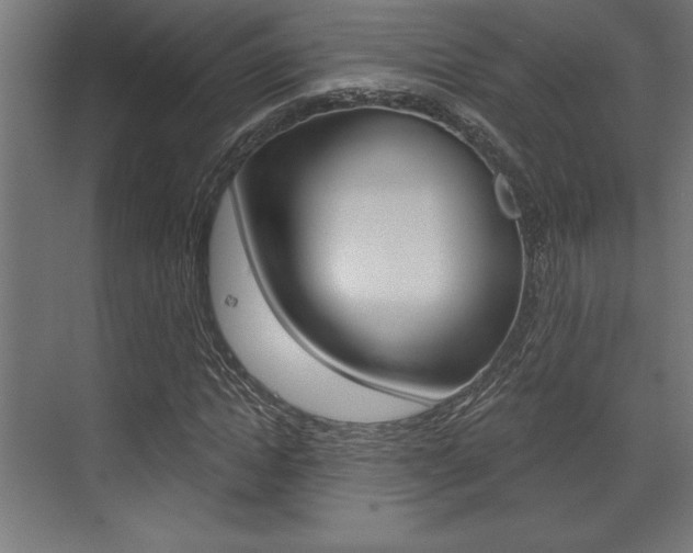 X0000073480822200607310848