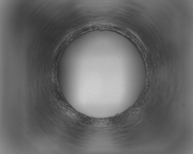 X0000073480823200607310848