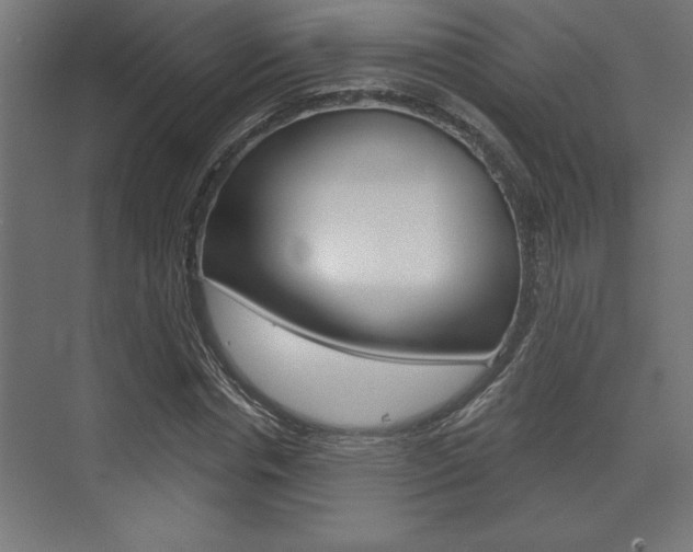X0000073480826200607310849