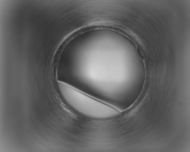 X0000073480830200607310849