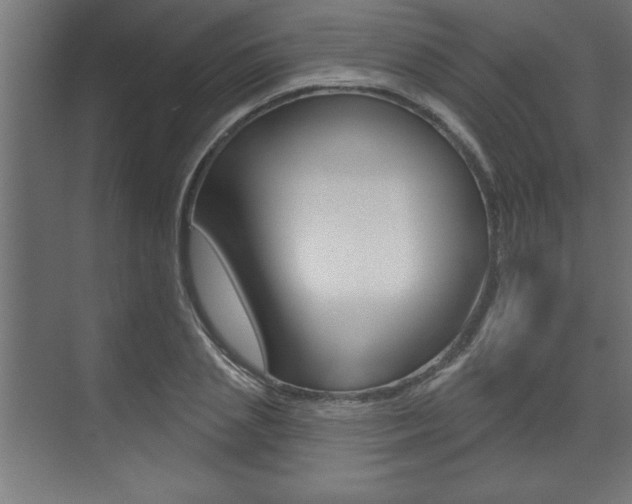 X0000073480837200607310849