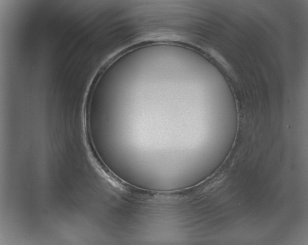 X0000073480840200607310849