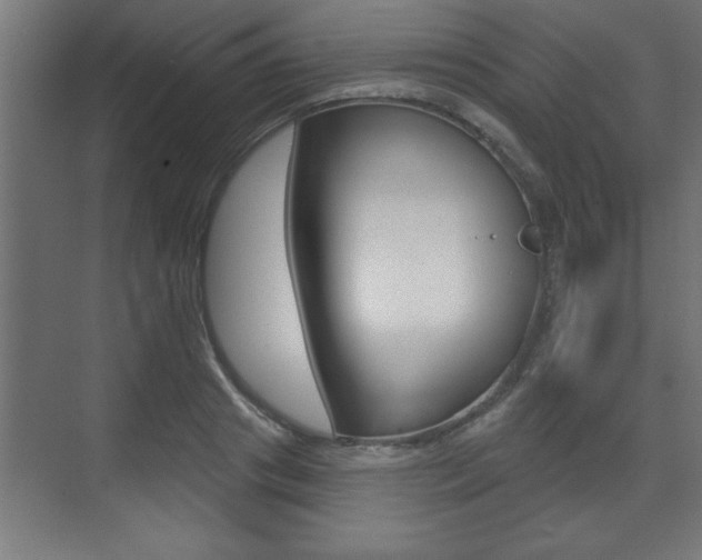 X0000073480841200607310849