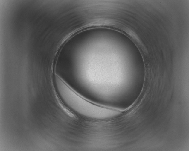 X0000073480842200607310849