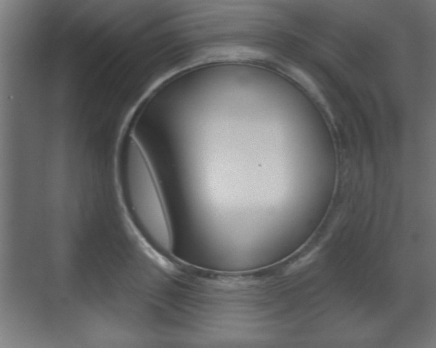 X0000073480843200607310849