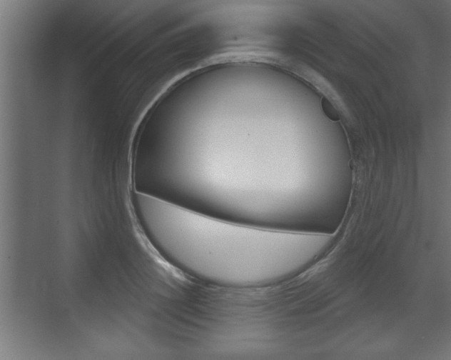 X0000073480844200607310849