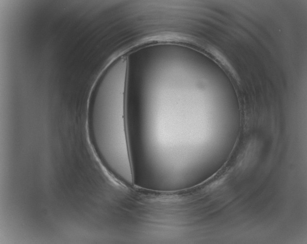 X0000073480845200607310849