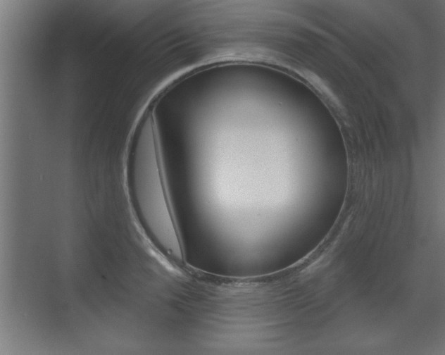 X0000073480846200607310849