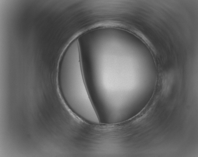 X0000073480853200607310849