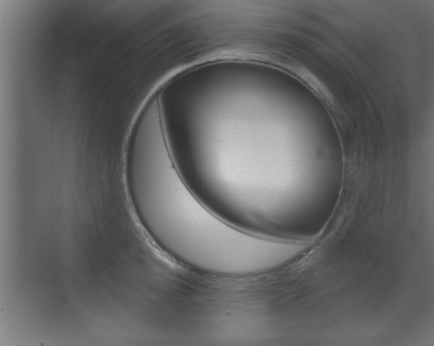 X0000073480854200607310849