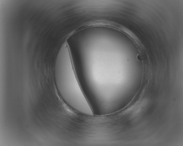 X0000073480857200607310849