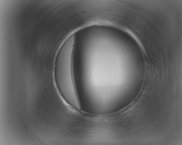 X0000073480861200607310849